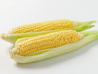 TREHALOSE Nó là một loại đường tự nhiên được tạo ra bằng cách xử lý enzyme tinh bột thu được từ ngô. Nó bảo vệ làn da của bạn khỏi bị khô và giữ ẩm và tươi mát.